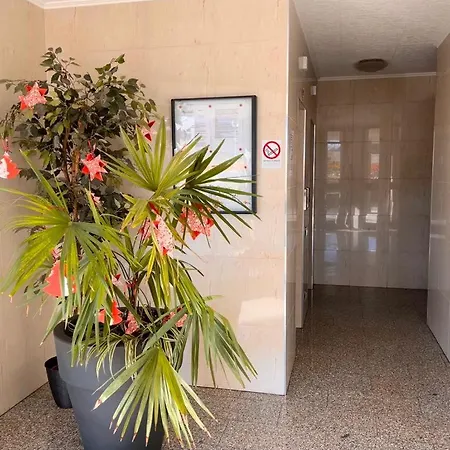 Apartamento Coco *